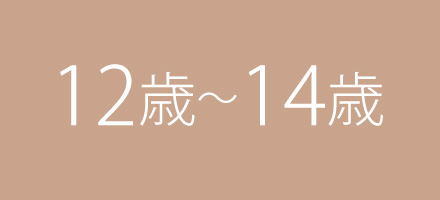 年齢別おすすめおもちゃ 12～14歳