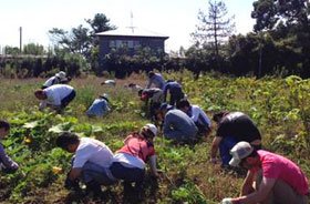 たすけあおうNippon東日本を応援_ボランティア活動報告