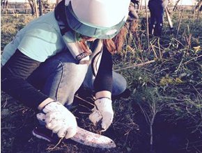 たすけあおうNippon東日本を応援_ボランティア活動報告