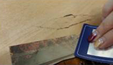 たすけあおうNippon東日本を応援_ボランティア活動報告