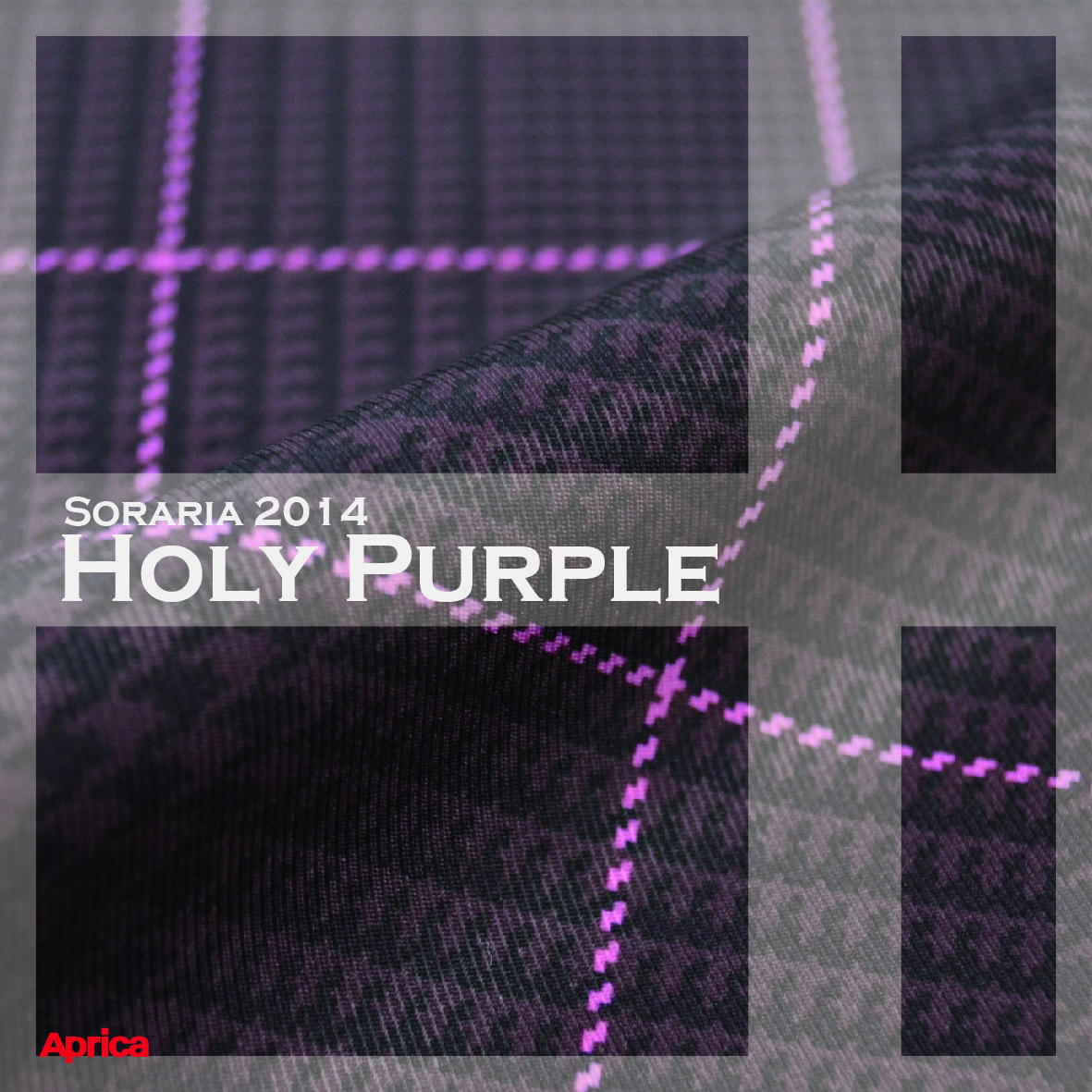 ホリーパープル