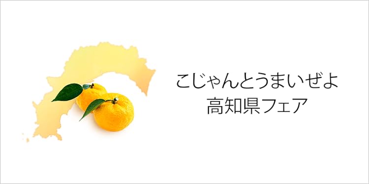 高知県フェア(高知県ご当地グルメ物産展)