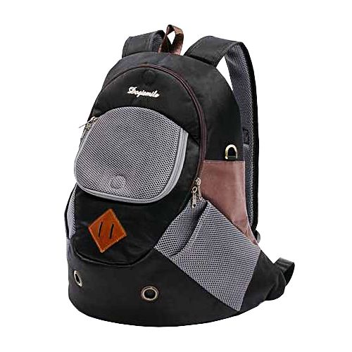 Amazon.co.jp: : すべてのカテゴリー