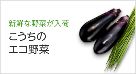 こうちのエコ野菜