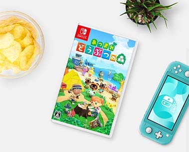 無人島に移住して、新生活がスタート