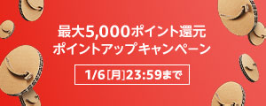 最大5,000ポイント還元