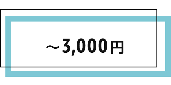 ホワイトデーギフト 3000円以下