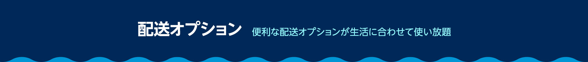 配送オプション 便利な配送オプションが生活に合わせて使い放題
