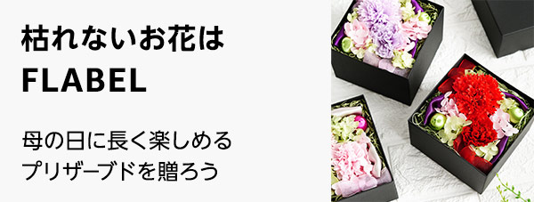 株式会社フレシード　