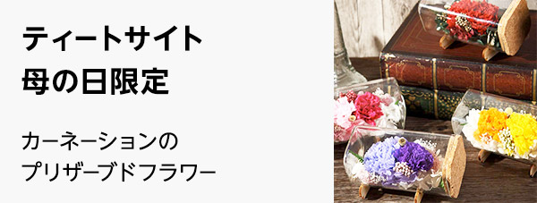 株式会社スミレ（ティートサイト）