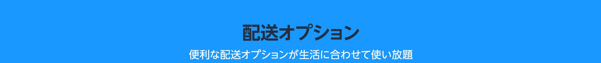 配送オプション 便利な配送オプションが生活に合わせて使い放題