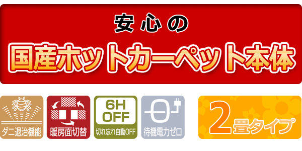 ダニ退治機能・暖房面切替・6時間OFF（切り忘れ自動OFF）・待機電力0・2畳タイプ