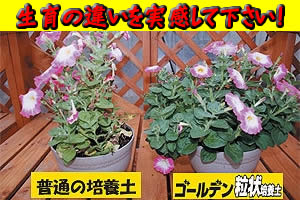 アイリスオーヤマ ゴールデン粒状培養土さし木・種まき用 GRB-S14