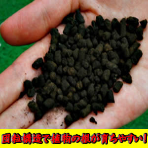 アイリスオーヤマ ゴールデン粒状培養土さし木・種まき用 GRB-S14