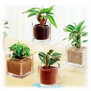 空気浄化炭ボール 小粒1.5L SH-3