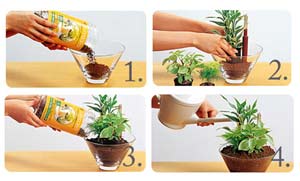 空気浄化炭ボール 小粒1.5L SH-3