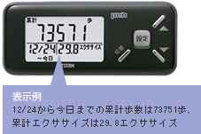 表示例　12/24から今日までの累計歩数は73751歩、累計エクササイズは29.8エクササイズ