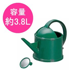 アイリスオーヤマ シャワーポット グリーン PT-38