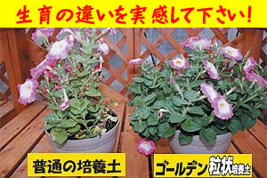 アイリスオーヤマ ゴールデン粒状培養土球根用 GRB-KY14