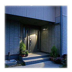 アイリスオーヤマ 乾電池式LEDセンサーライト 黒 LED2個タイプ