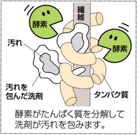 アズマ 血の汚れ落とし レディース専科