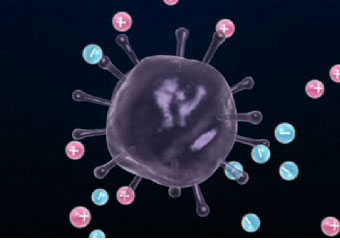 SHARP プラズマクラスターイオン発生器 車載タイプ 「高濃度プラズマクラスター25000」搭載 (約3.6m3)カーアダプター対応タイプ ブラック系 IG-BC15-B