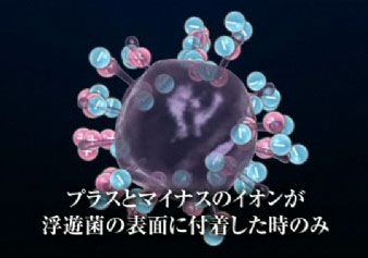 SHARP プラズマクラスターイオン発生器 車載タイプ 「高濃度プラズマクラスター25000」搭載 (約3.6m3)カーアダプター対応タイプ ブラック系 IG-BC15-B