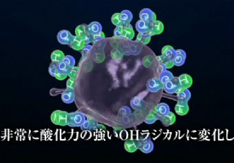 SHARP プラズマクラスターイオン発生器 車載タイプ 「高濃度プラズマクラスター25000」搭載 (約3.6m3)カーアダプター対応タイプ ブラック系 IG-BC15-B