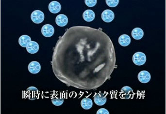 SHARP プラズマクラスターイオン発生器 車載タイプ 「高濃度プラズマクラスター25000」搭載 (約3.6m3)カーアダプター対応タイプ ブラック系 IG-BC15-B