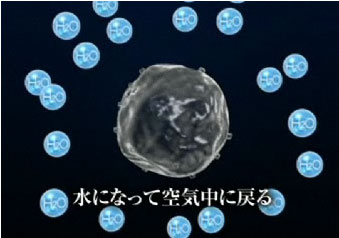 SHARP プラズマクラスターイオン発生器 車載タイプ 「高濃度プラズマクラスター25000」搭載 (約3.6m3)カーアダプター対応タイプ ブラック系 IG-BC15-B