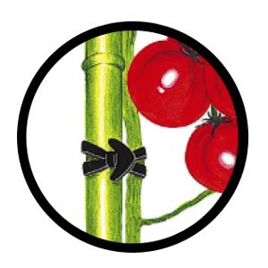 アイリスオーヤマ 簡結バンド KB-75F（袋入り）