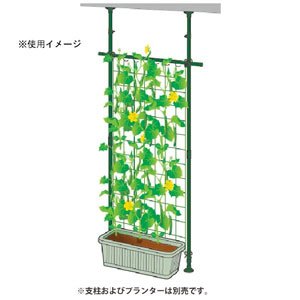 アイリスオーヤマ 万能ネットグリーングリーンTSN1818