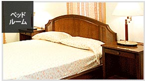 SHARP LED電球 電球色相当 E17口金 小型電球タイプ 4.5W 全光束250lm DL-J40AL