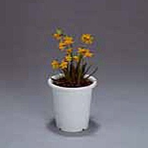 アイリスオーヤマ ティルトケンガイ鉢 ホワイト 5号