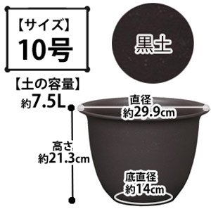 和彩中鉢 黒土 10号
