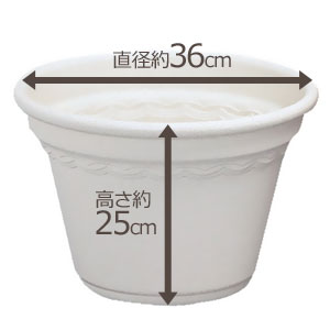 アイリスオーヤマ コルティポット ウォームベージュ 12号