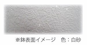 和彩中鉢 白砂 10号