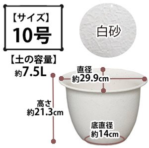 和彩中鉢 白砂 10号