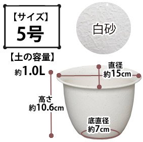 和彩中鉢 白砂 5号