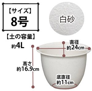 和彩中鉢 白砂 8号