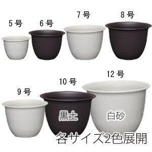 和彩中鉢 白砂 8号