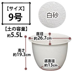 和彩中鉢 白砂 9号