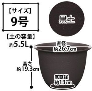 和彩中鉢 黒土 9号