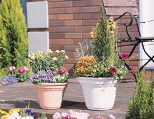 アイリスオーヤマ コルティポット ウォームベージュ 18号