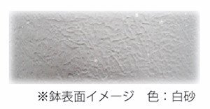 和彩中鉢 白砂 6号