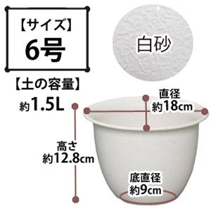 和彩中鉢 白砂 6号
