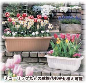 レリーフプランター テラコッタブラウン 700