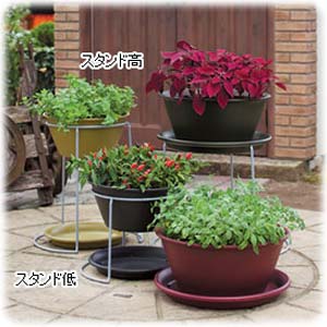 アイリスオーヤマ ライズボールプランター マスタードイエロー 360