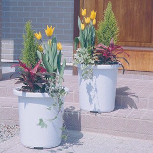 アイリスオーヤマ ティルトケンガイ鉢 みかげ 6号