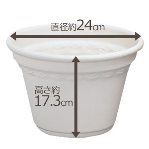 アイリスオーヤマ コルティポット ウォームベージュ 8号